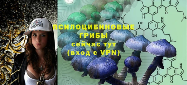герыч Дмитров