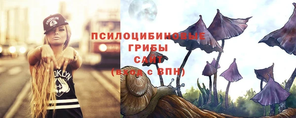 ALPHA PVP Дмитриев